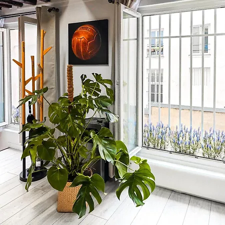 Appartamento Rustic Charm&dreamhome 40m2 In The Heart Of Paris, Near Pompidou And Notre-dame, Subway 4,8,9 Honeymoon Favourite Parigi