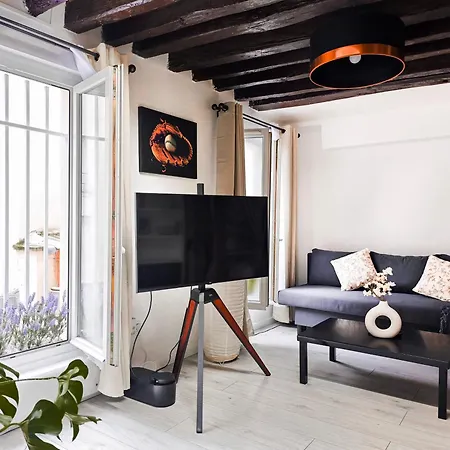 Rustic Charm&dreamhome 40m2 In The Heart Of Paris, Near Pompidou And Notre-dame, Subway 4,8,9 Honeymoon Favourite *