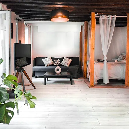 Rustic Charm&dreamhome 40m2 In The Heart Of Paris, Near Pompidou And Notre-dame, Subway 4,8,9 Honeymoon Favourite Appartamento